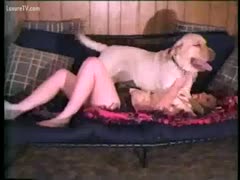 Hubby acquires his want and watches wife have beast sex 
